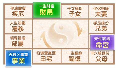 星座科技|紫微命盤免費算